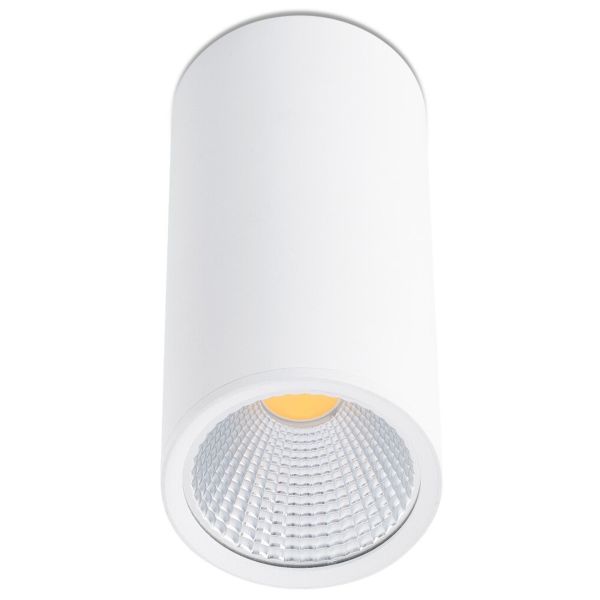 Oprawa punktówa Faro 64198 REL 75 White ceiling lamp