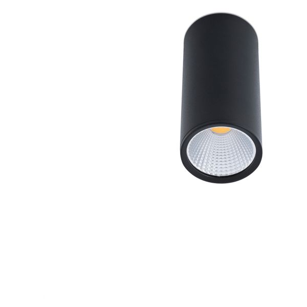 Точковий світильник Faro 64199 REL 75 Black ceiling lamp