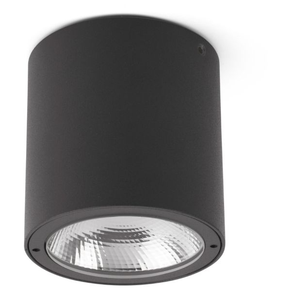 Точковий світильник Faro 70575 GOZ Dark grey ceiling lamp