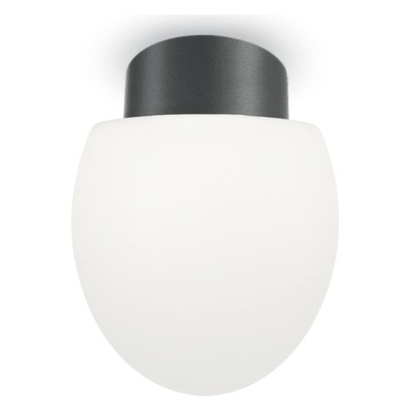 Plafon sufitowy Ideal Lux 148861 + 116716 Clio MLP1 Antracite
