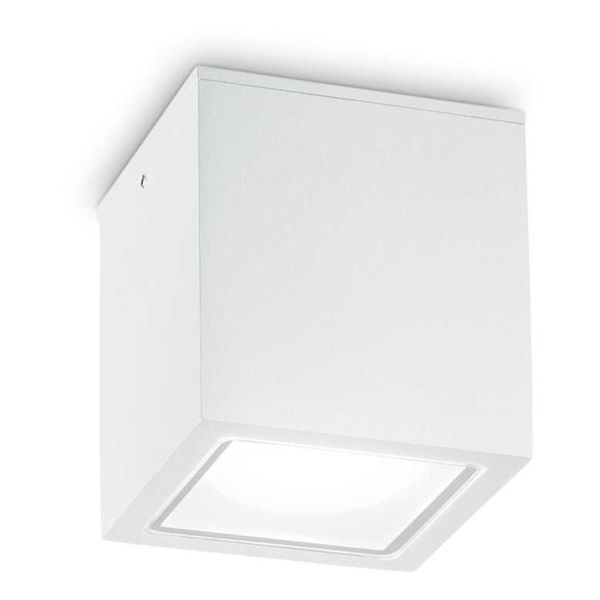 Точковий світильник Ideal Lux 251561 TECHO PL1 SMALL BIANCO