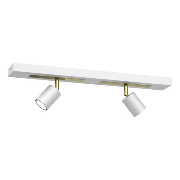 Spot Luminex 1666 Rodez