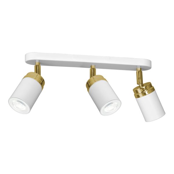 Spot Luminex 5156 Reno