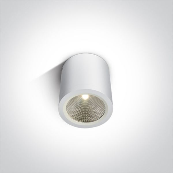 Oprawa punktówa One Light 67380/W/W COB Outdoor Ceiling Cylinders