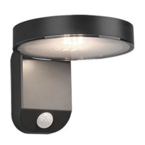 Lampa ścienna Reality R22251142 Posadas