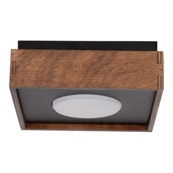 Żyrandol Sigma 41000 Dalia 1